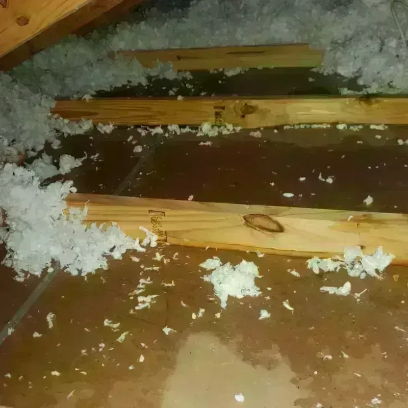 Attic Water Damage in Bartlett, TX