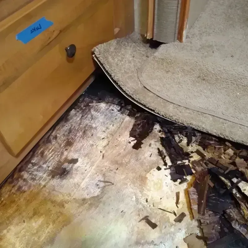 Wood Floor Water Damage in Bartlett, TX